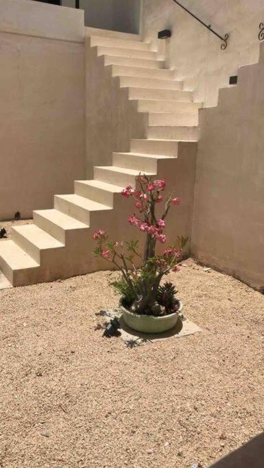 Casa Cedro San Sebastian Hébergement de vacances Mérida