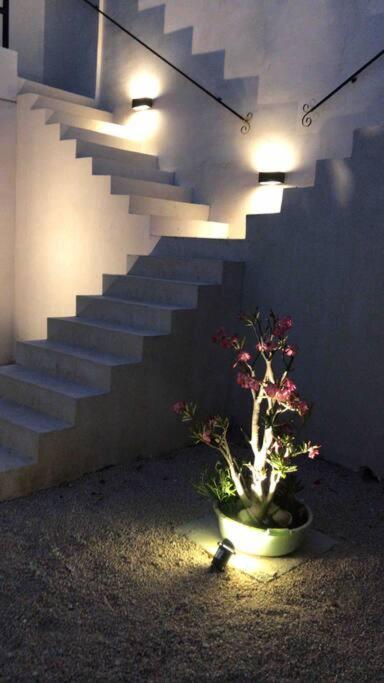 Casa Cedro San Sebastian * Mérida